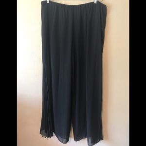 Alex Evening black sheer/lined pants pleated sides